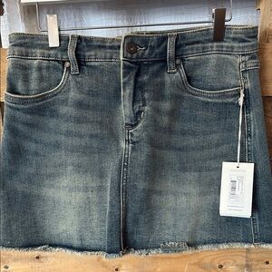 Carve Designs Denim Mini Skirt